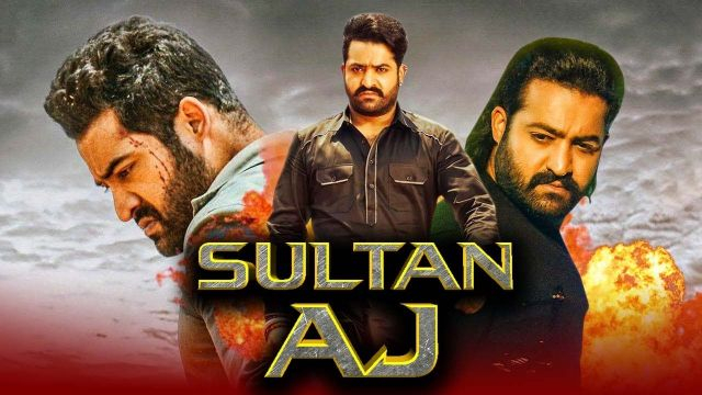 Hindi Dubbed Full Movie | Sultan AJ 2019 Telugu  | Jr. NTR, Trisha Krishnan